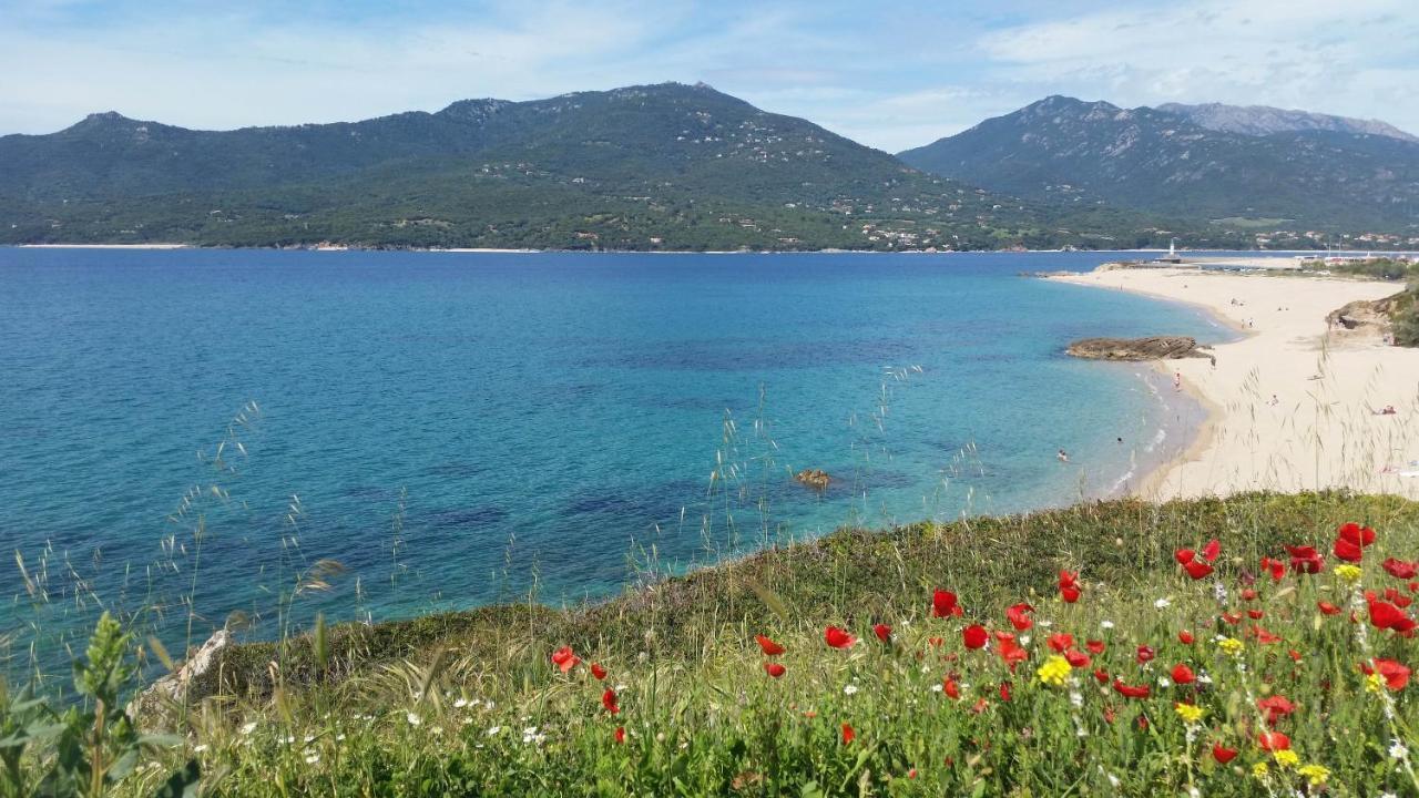 Studio T1 Bis Vue Mer Propriano Propriano  Zewnętrze zdjęcie